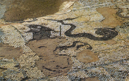 mosaico delle terme